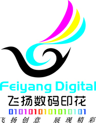 飞扬数码