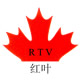 深圳市红叶硅胶厂