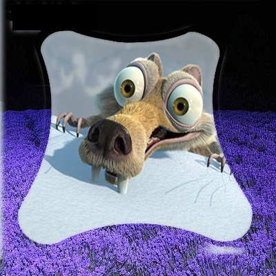 ݸͮӰװƷ޹˾
