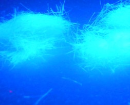 άӫ5mm