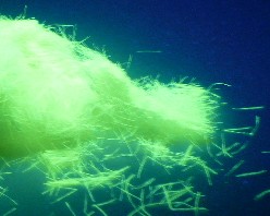  άӫ5mm)