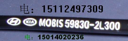 ӡֻ