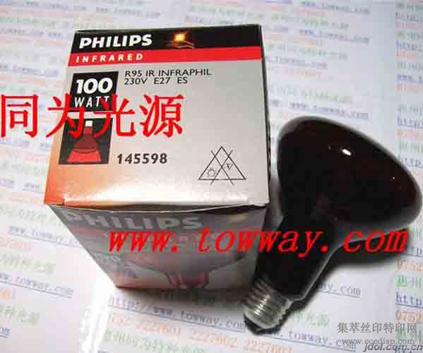 PHILIPSR95100Wߵ