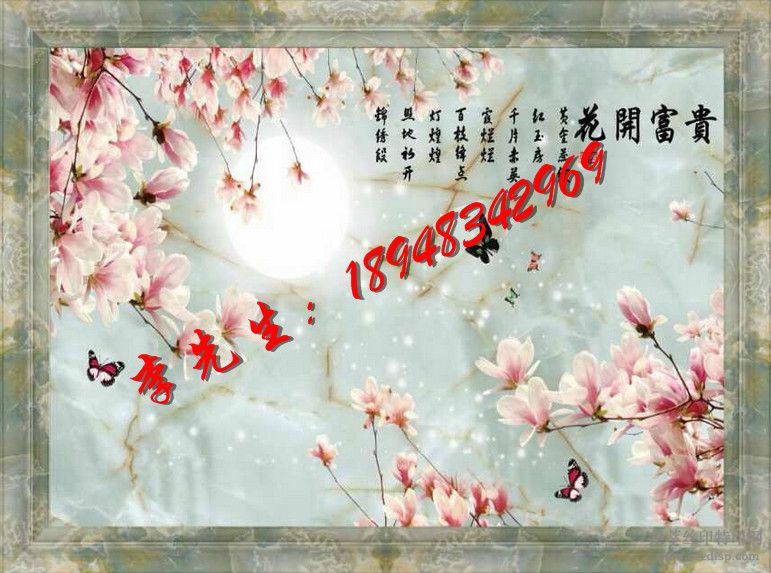 ӱǽӡ