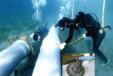 ¹󹤳޲