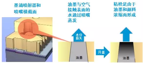 1516096158743589.png 1.png